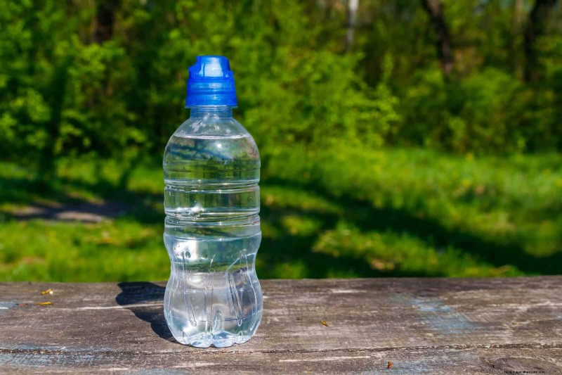 Gardez votre jardin en plein essor pendant vos vacances :stratégies d entretien expertes