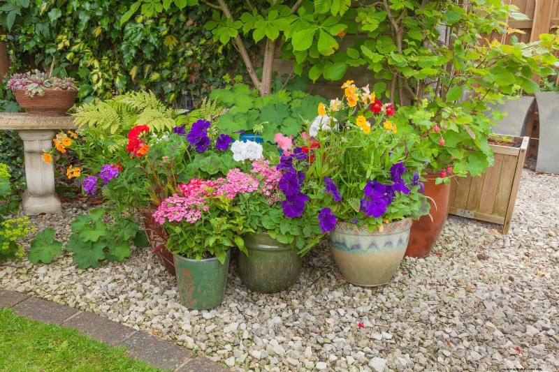 Gardez votre jardin en plein essor pendant vos vacances :stratégies d entretien expertes