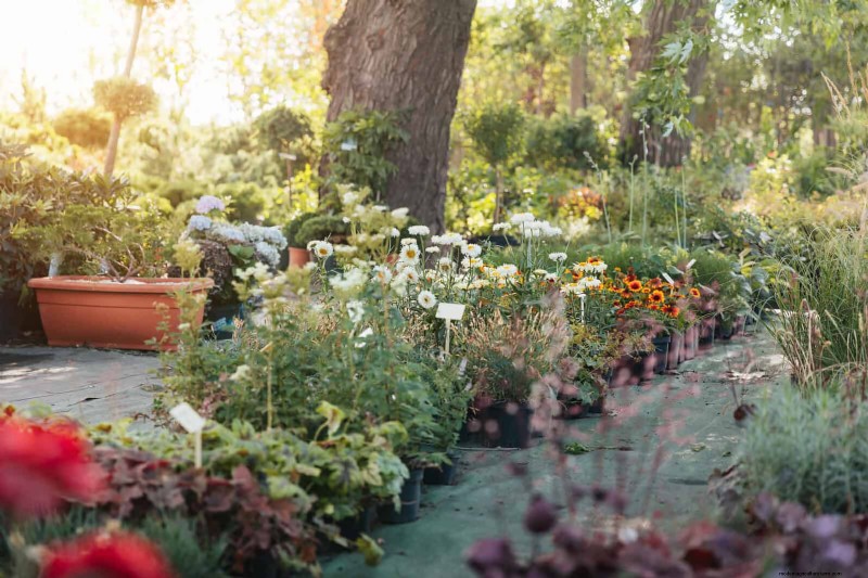 Gardez votre jardin en plein essor pendant vos vacances :stratégies d entretien expertes