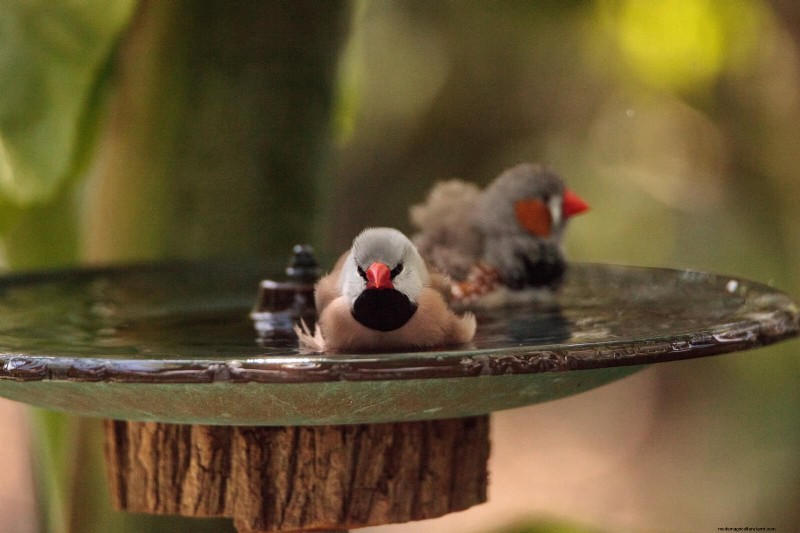 16 jeux d eau faciles pour transformer votre jardin ce week-end 