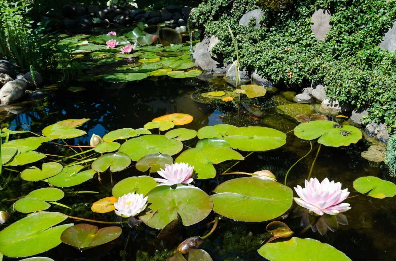 16 jeux d eau faciles pour transformer votre jardin ce week-end 