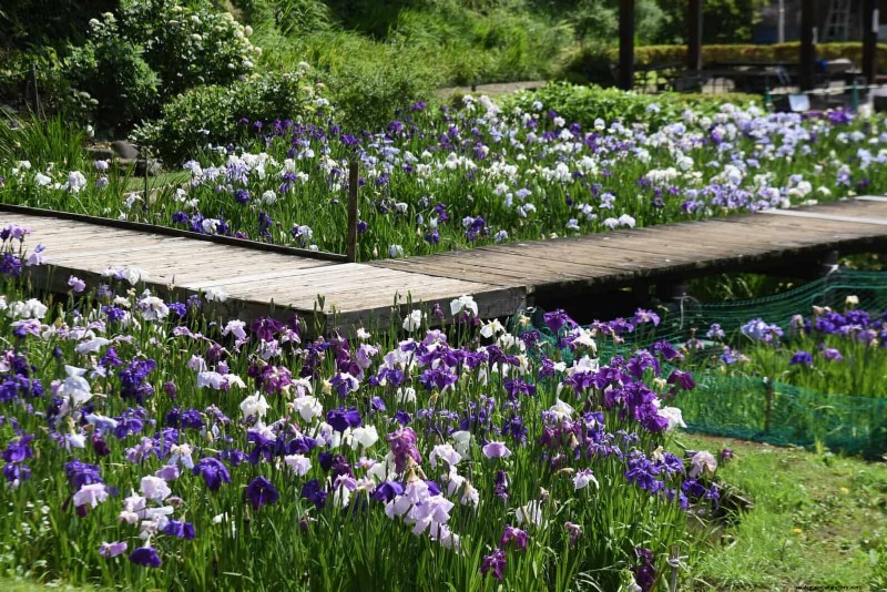 16 jeux d eau faciles pour transformer votre jardin ce week-end 