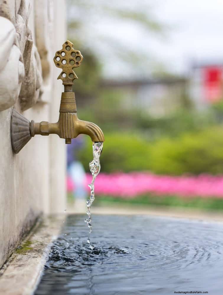 16 jeux d eau faciles pour transformer votre jardin ce week-end 