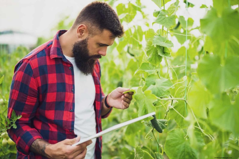 16 erreurs de jardinage d été qui nuisent à vos plantes (et comment les corriger) 