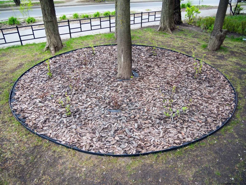 16 erreurs de jardinage d été qui nuisent à vos plantes (et comment les corriger) 