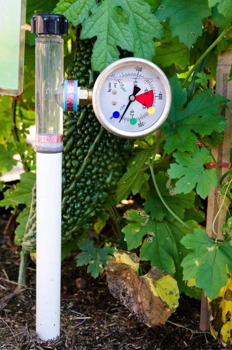 16 erreurs de jardinage d été qui nuisent à vos plantes (et comment les corriger) 