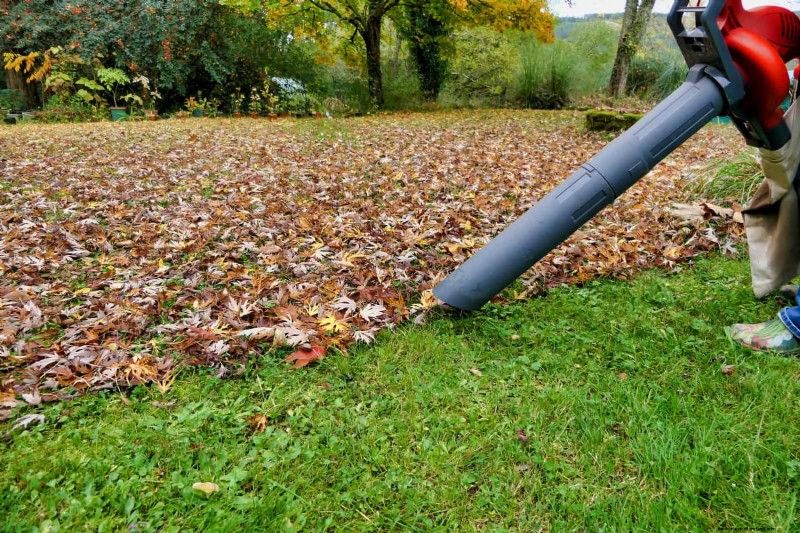 16 erreurs de jardinage d été qui nuisent à vos plantes (et comment les corriger) 