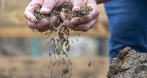 Moet je zand toevoegen aan kleigrond? Deskundige gids voor effectieve bodemverbeteringen 
