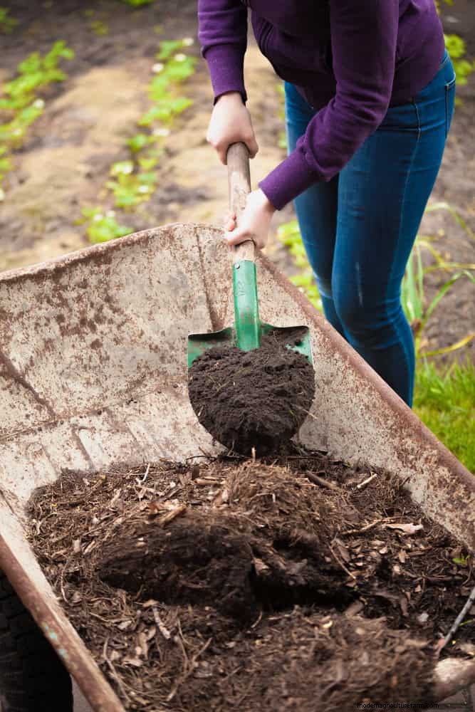 Moet je zand toevoegen aan kleigrond? Deskundige gids voor effectieve bodemverbeteringen 
