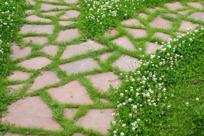 Moet je zand toevoegen aan kleigrond? Deskundige gids voor effectieve bodemverbeteringen 