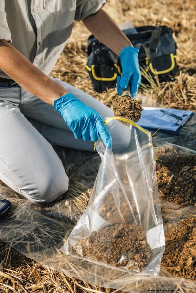 Moet je zand toevoegen aan kleigrond? Deskundige gids voor effectieve bodemverbeteringen 