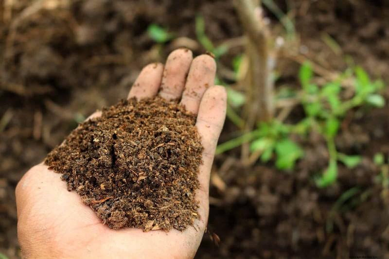 Moet je zand toevoegen aan kleigrond? Deskundige gids voor effectieve bodemverbeteringen 