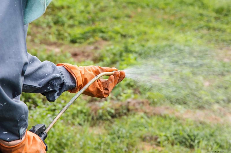 Onkruidbeheer op eigendomsgrenzen:een praktische gids voor juridische, milieu- en nabuurschapsoverwegingen 