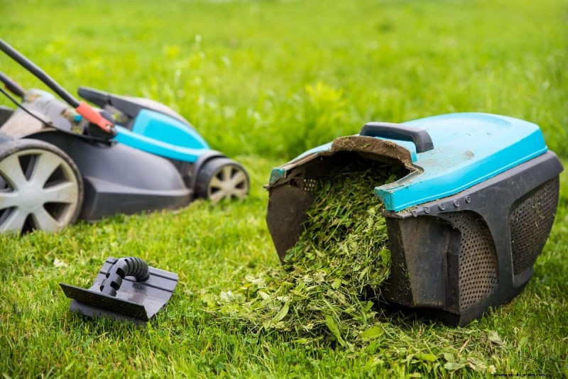 Påskynda nedbrytningen av gräsklippning:Experttips för en tålig, hälsosam gräsmatta 