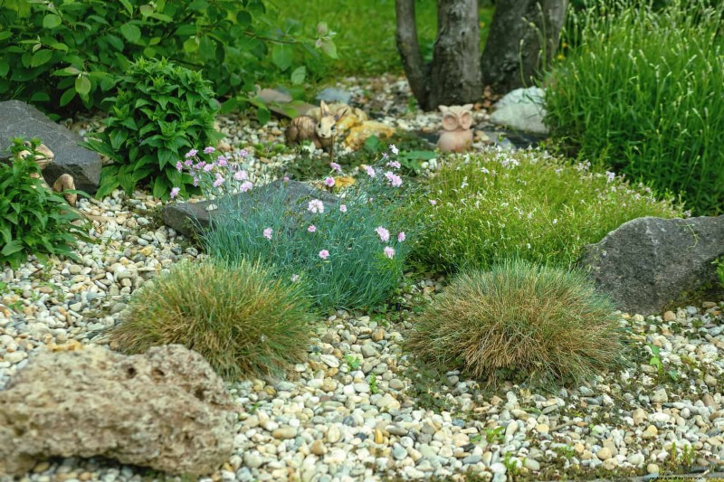 Skydda dina trädgårdsrötter från sommarvärme:Experttips för blomstrande växter 