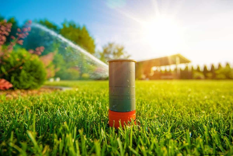 Är daglig sommarvattning av gräsmatta klokt eller slösaktigt? Expertguide till smart bevattning 