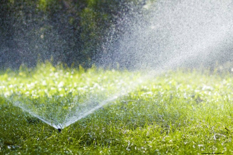 Är daglig sommarvattning av gräsmatta klokt eller slösaktigt? Expertguide till smart bevattning 