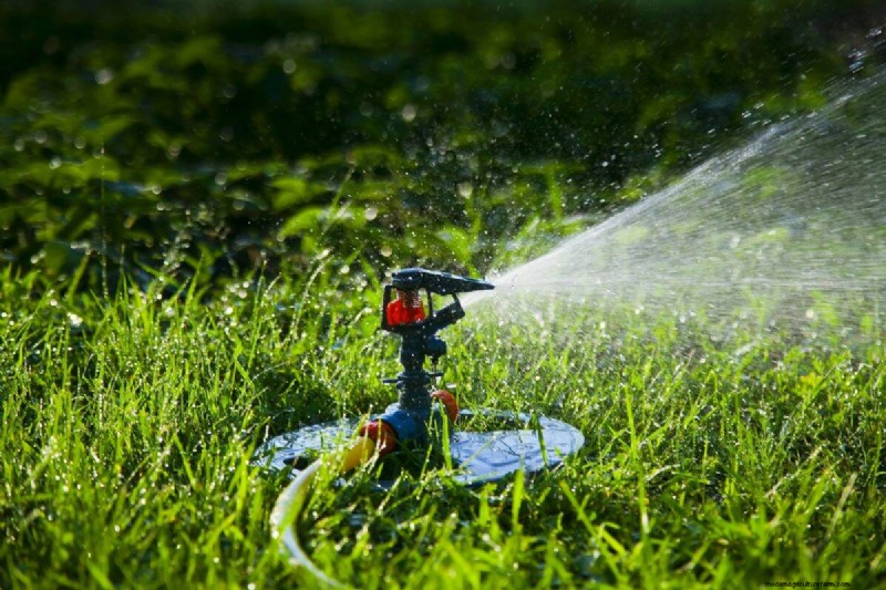 Är daglig sommarvattning av gräsmatta klokt eller slösaktigt? Expertguide till smart bevattning 