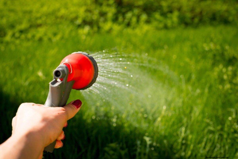 Är daglig sommarvattning av gräsmatta klokt eller slösaktigt? Expertguide till smart bevattning 