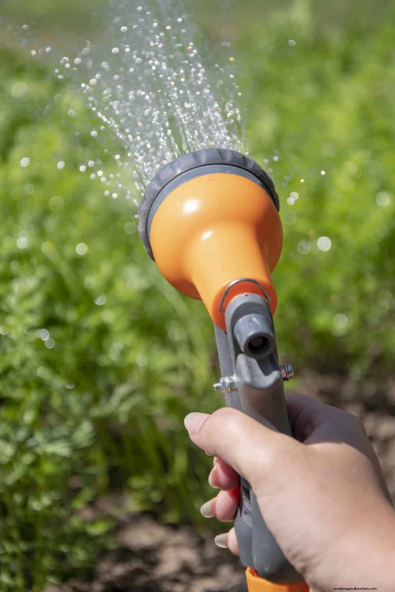 Är daglig sommarvattning av gräsmatta klokt eller slösaktigt? Expertguide till smart bevattning 
