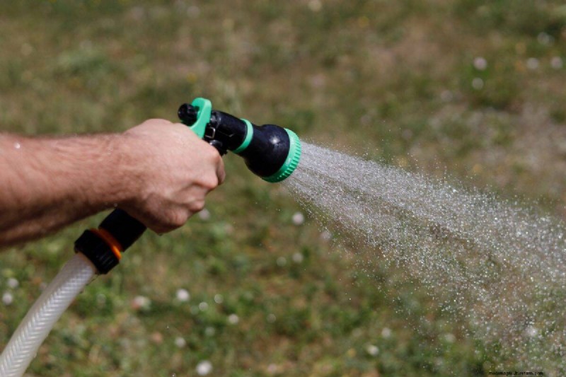 Är daglig sommarvattning av gräsmatta klokt eller slösaktigt? Expertguide till smart bevattning 