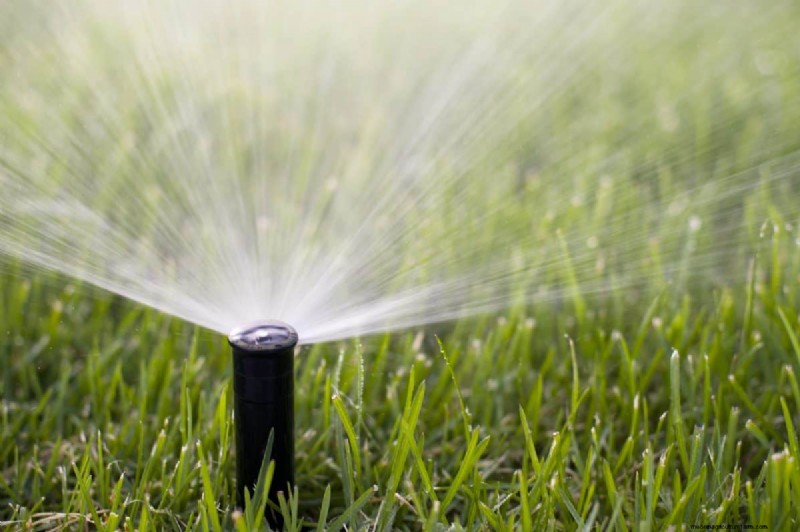 Är daglig sommarvattning av gräsmatta klokt eller slösaktigt? Expertguide till smart bevattning 