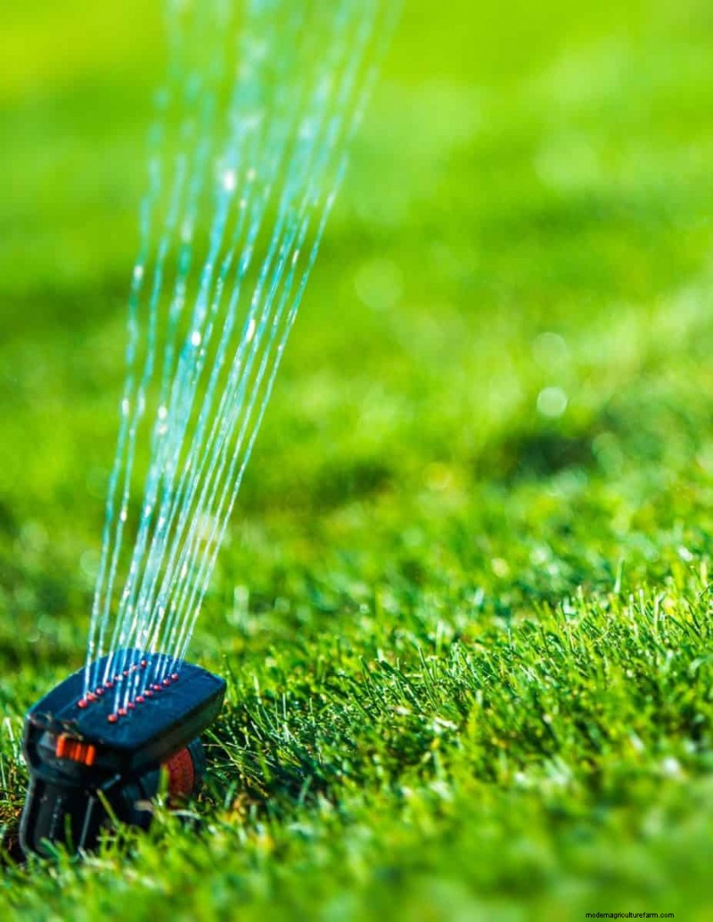 Är daglig sommarvattning av gräsmatta klokt eller slösaktigt? Expertguide till smart bevattning 