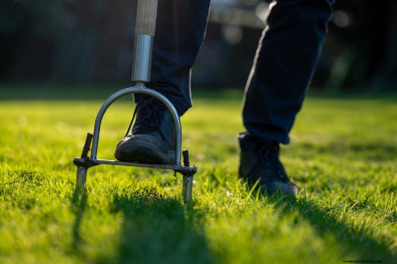 Är daglig sommarvattning av gräsmatta klokt eller slösaktigt? Expertguide till smart bevattning 