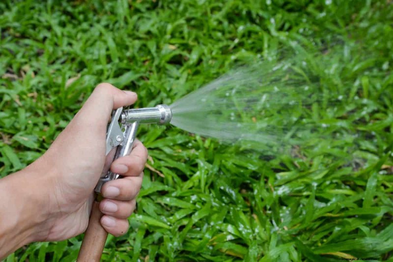 Är daglig sommarvattning av gräsmatta klokt eller slösaktigt? Expertguide till smart bevattning 