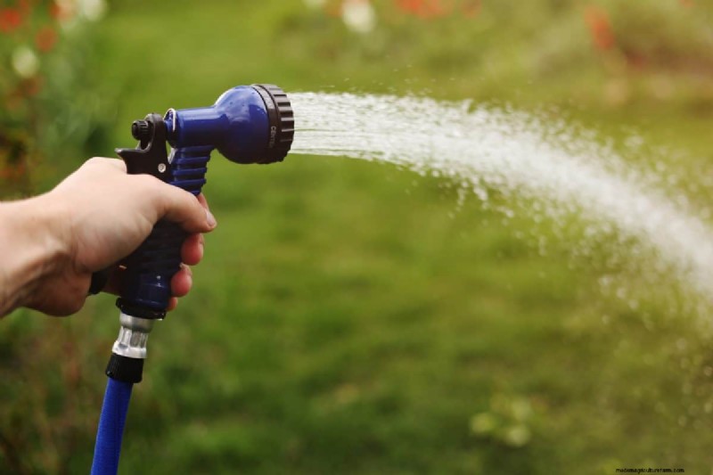 Är daglig sommarvattning av gräsmatta klokt eller slösaktigt? Expertguide till smart bevattning 