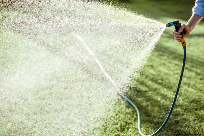 Är daglig sommarvattning av gräsmatta klokt eller slösaktigt? Expertguide till smart bevattning 