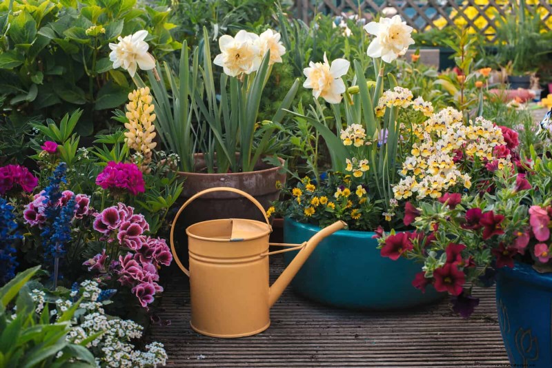 夏の暑さでも植物を元気に育てるための15の熟練した日よけテクニック