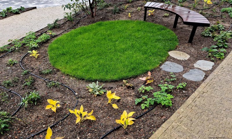 夏の暑さでも植物を元気に育てるための15の熟練した日よけテクニック