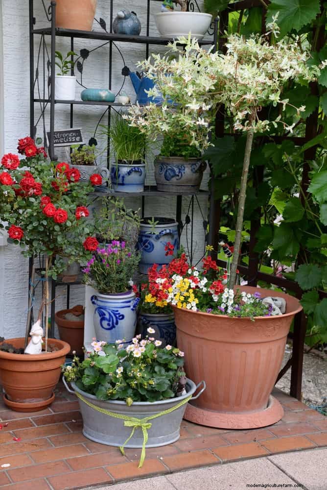 夏の暑さでも植物を元気に育てるための15の熟練した日よけテクニック