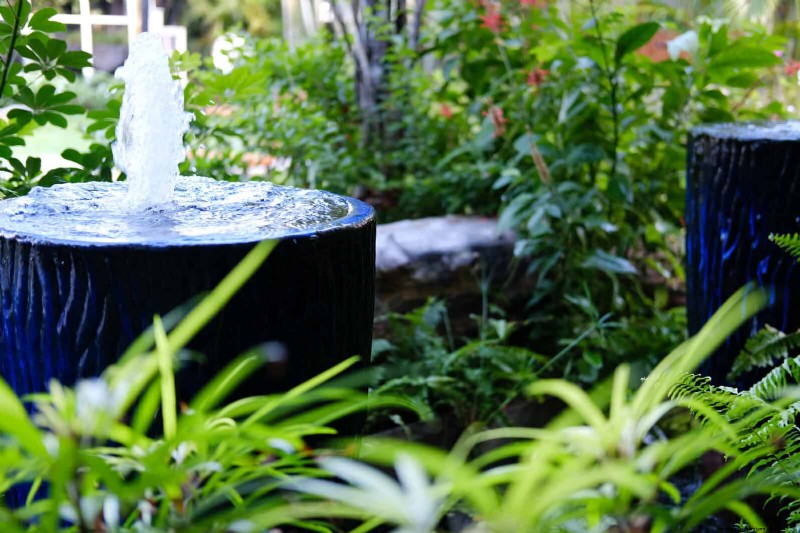 夏の暑さでも植物を元気に育てるための15の熟練した日よけテクニック