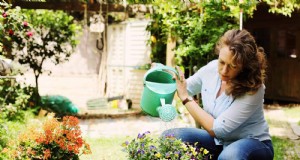Keep Container Plants Thriving in Extreme Heat: 7 Expert‑Approved Strategies