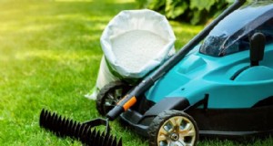 Summer Lawn Fertilization: When Hot Weather Is Good or Bad for Your Turf