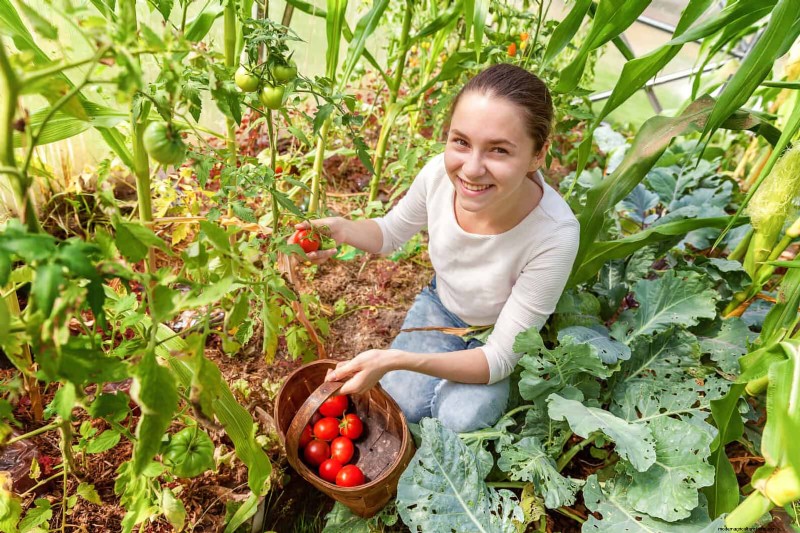 21 deskundige tomatentips voor grotere oogsten en minder problemen 