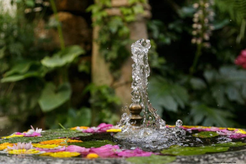 23 consigli degli esperti per trasformare il tuo giardino in un rifugio di benessere 