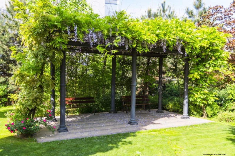 23 consigli degli esperti per trasformare il tuo giardino in un rifugio di benessere 