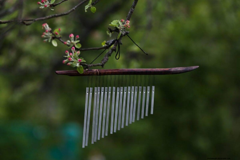 23 consigli degli esperti per trasformare il tuo giardino in un rifugio di benessere 