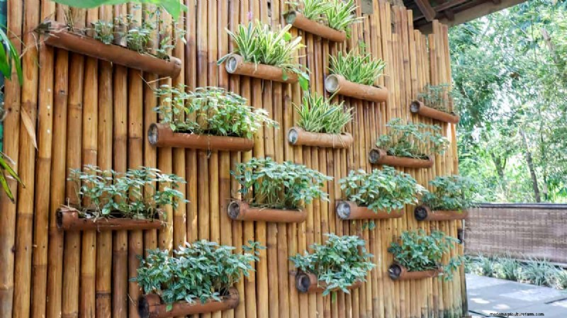 23 consigli degli esperti per trasformare il tuo giardino in un rifugio di benessere 