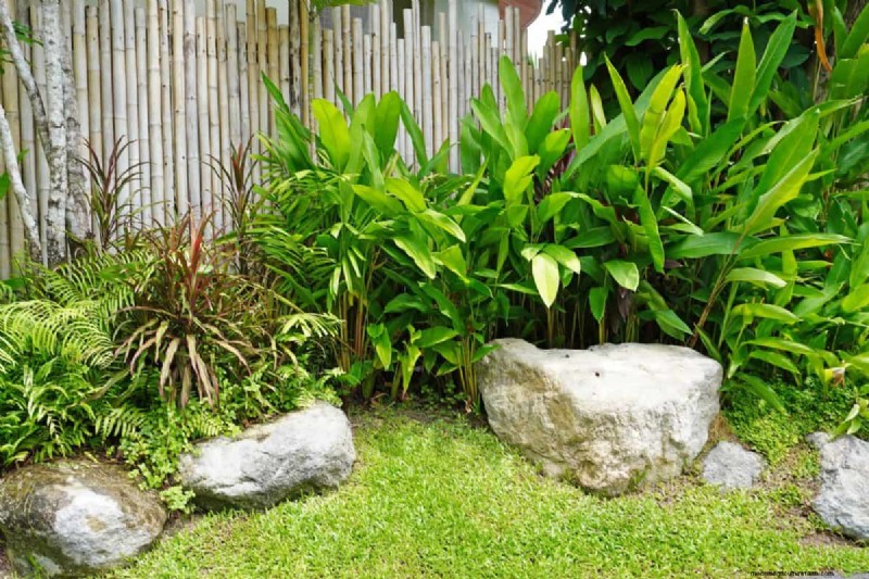23 consigli degli esperti per trasformare il tuo giardino in un rifugio di benessere 
