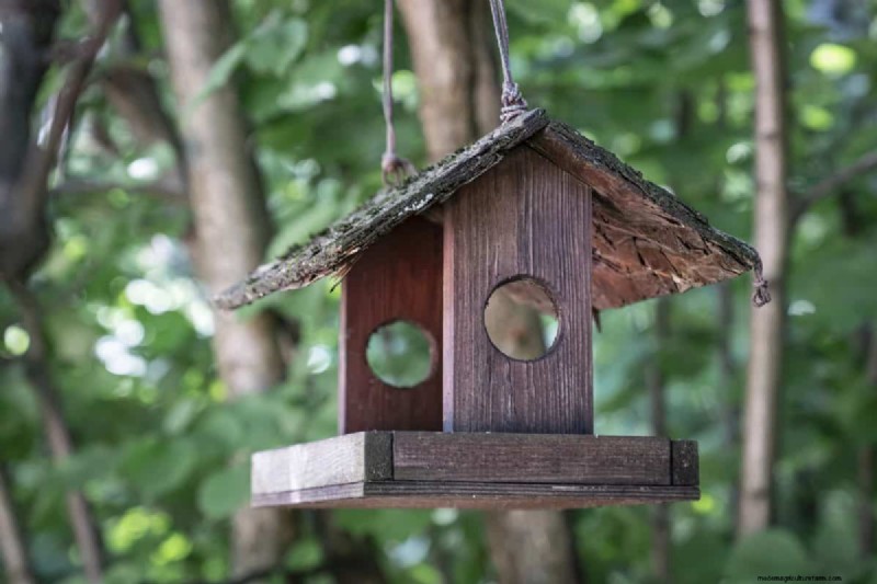 23 consigli degli esperti per trasformare il tuo giardino in un rifugio di benessere 