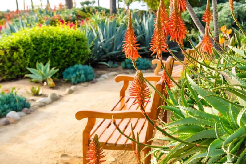 23 consigli degli esperti per trasformare il tuo giardino in un rifugio di benessere 