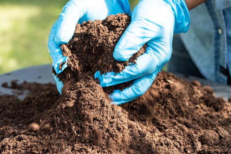 Les dangers cachés de la négligence du rafraîchissement des sols :pourquoi un renouvellement régulier des sols est essentiel 