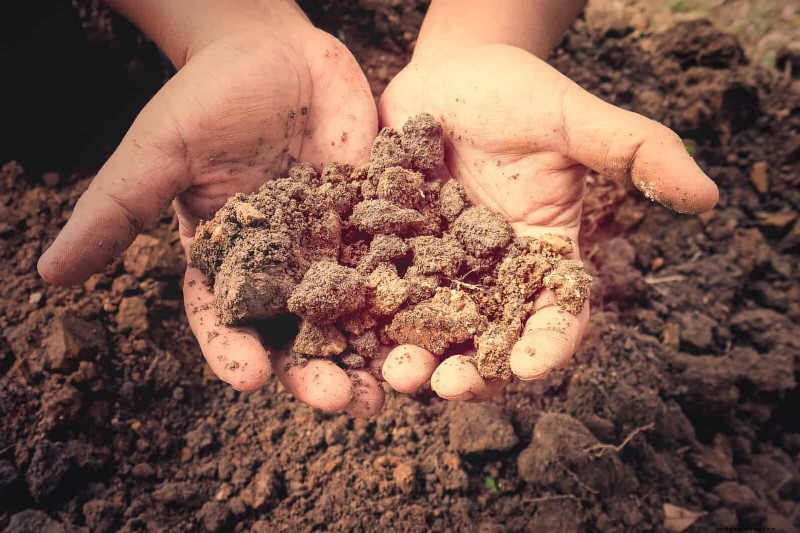 Les dangers cachés de la négligence du rafraîchissement des sols :pourquoi un renouvellement régulier des sols est essentiel 