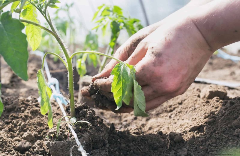 Les dangers cachés de la négligence du rafraîchissement des sols :pourquoi un renouvellement régulier des sols est essentiel 