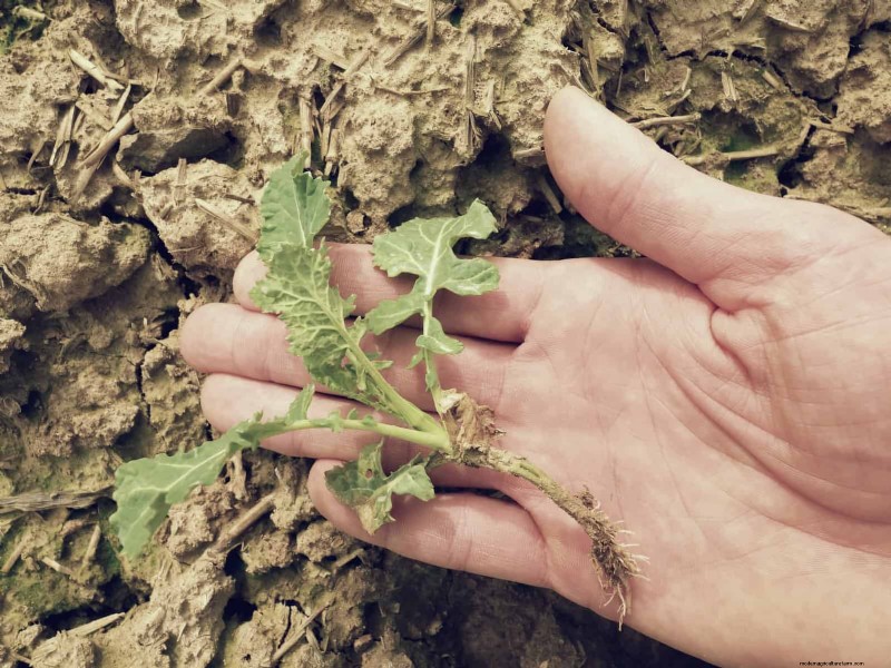Les dangers cachés de la négligence du rafraîchissement des sols :pourquoi un renouvellement régulier des sols est essentiel 