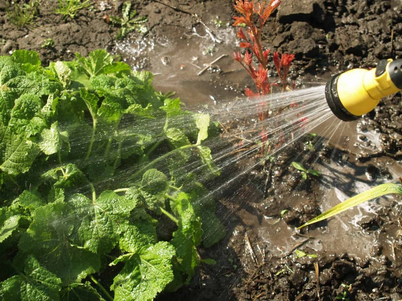 Les dangers cachés de la négligence du rafraîchissement des sols :pourquoi un renouvellement régulier des sols est essentiel 